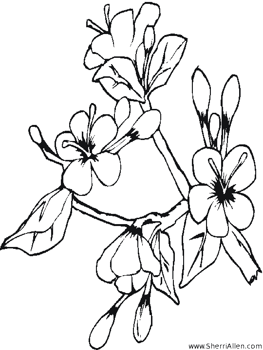 Un enfant joyeux cueillant des fleurs au printemps