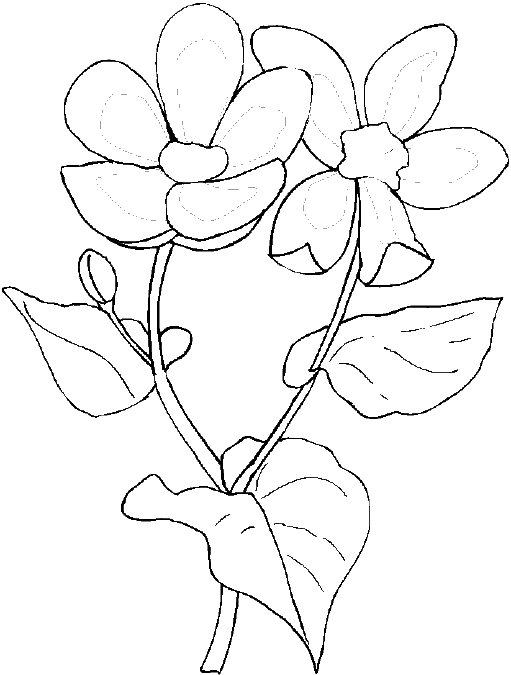 Un coloriage de fleurs au printemps entourées d'un ciel ensoleillé