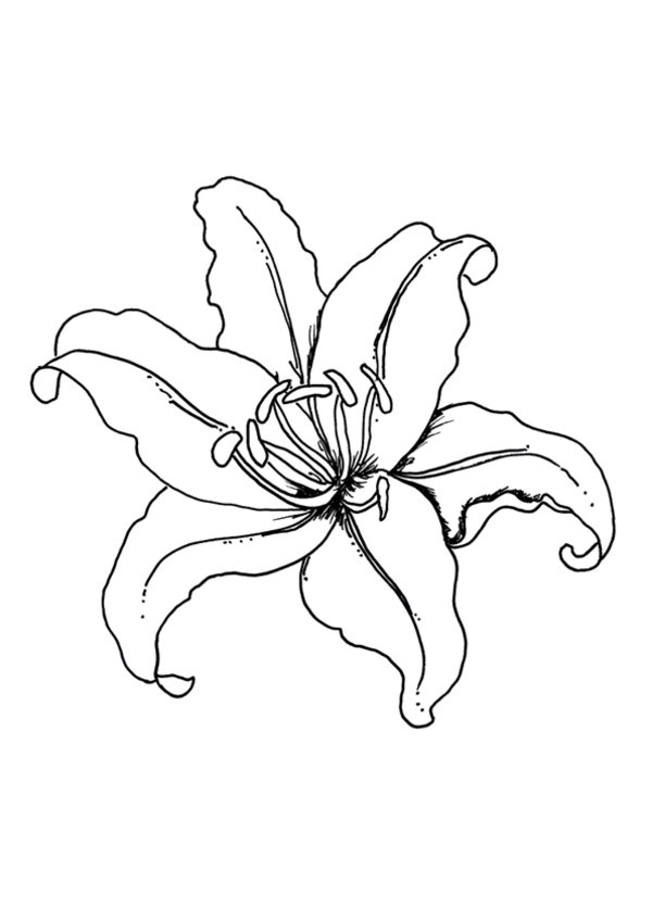 Un jardin printanier animé par des animaux et des fleurs