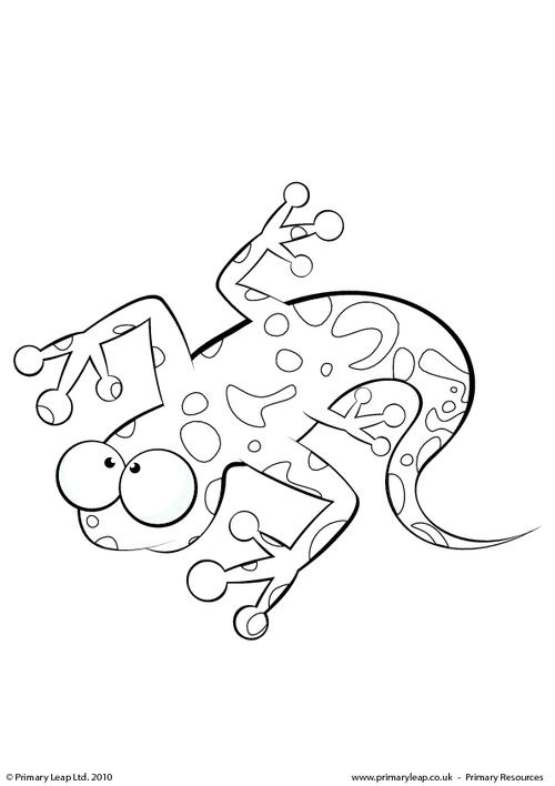 Coloriage d'une salamandre sur un fond naturel
