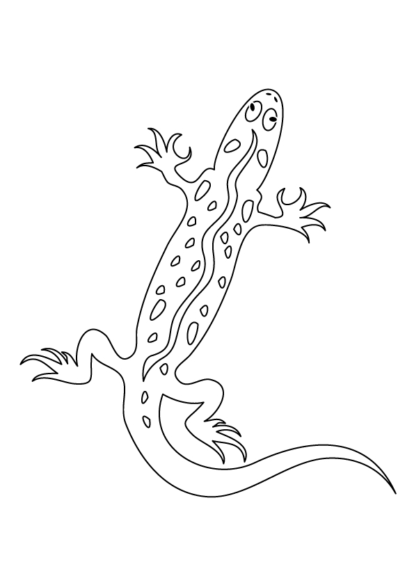 Coloriage d'une salamandre sur un fond naturel