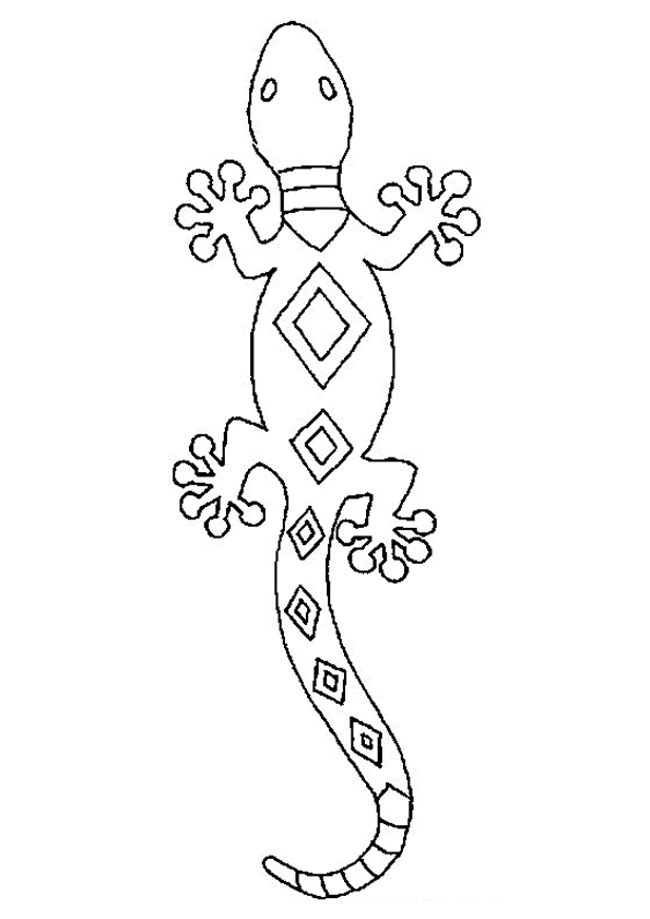 Coloriage d'une salamandre sur un fond naturel
