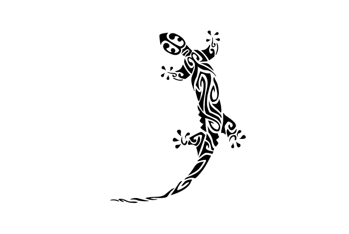 Coloriage d'une salamandre sur un fond naturel