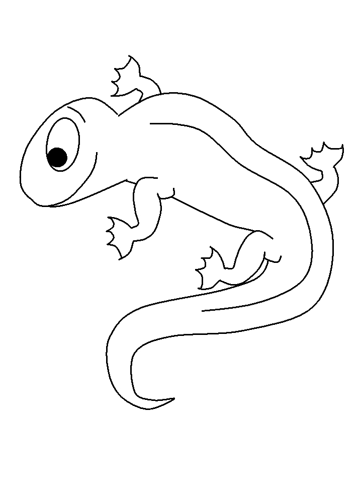 Coloriage d'une salamandre sur un fond naturel