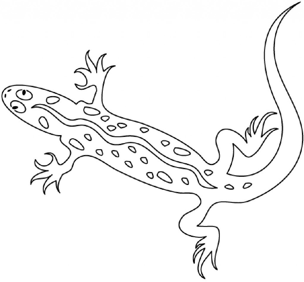Coloriage de salamandre sur fond naturel