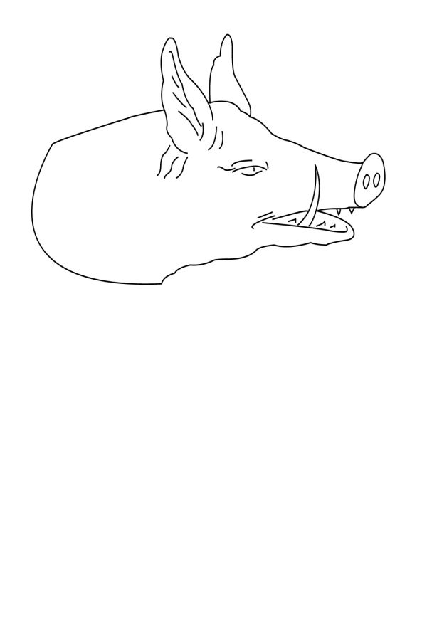 Coloriage d'un sanglier dans son habitat naturel