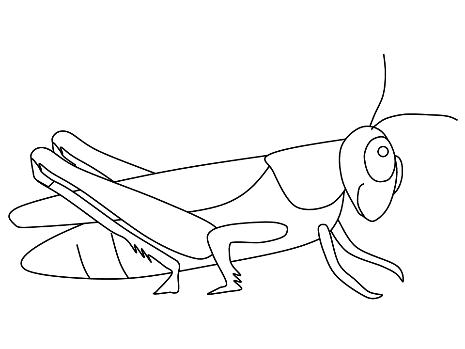 Un coloriage de sauterelle sur fond de nature