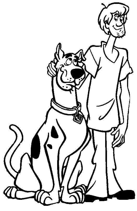 Scooby-Doo et Shaggy en pleine enquête dans un décor mystérieux