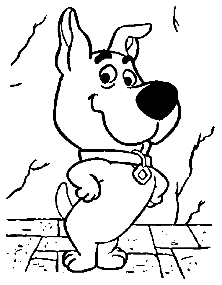 Scooby-Doo en pleine enquête avec ses amis dans un décor mystérieux