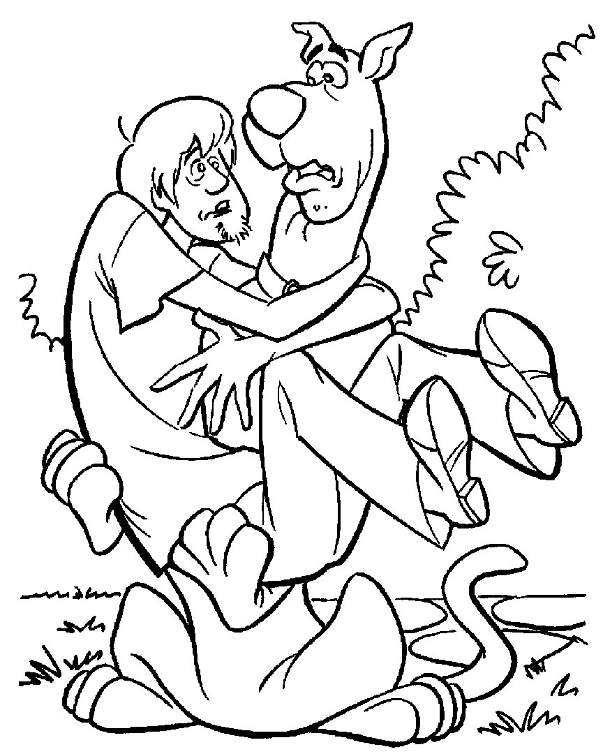 Scooby-Doo et Shaggy en pleine enquête dans un décor mystérieux