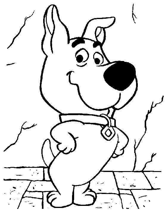 Scooby-Doo en pleine enquête avec ses amis dans un décor mystérieux