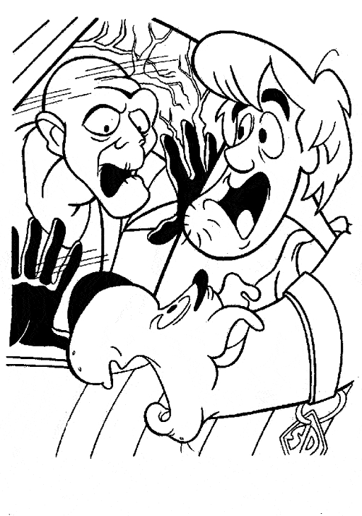 Scooby-Doo et Shaggy en pleine enquête dans un décor mystérieux