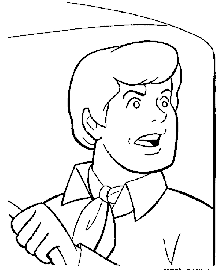 Scooby-Doo et Shaggy en pleine enquête dans un décor mystérieux