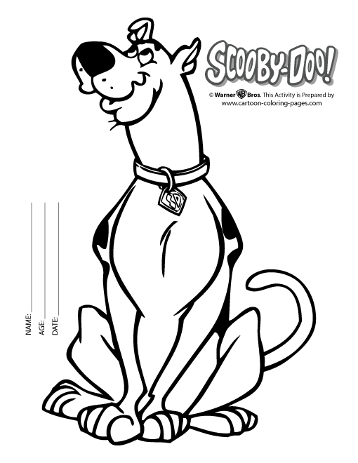 Scooby-Doo en pleine enquête dans un décor mystérieux