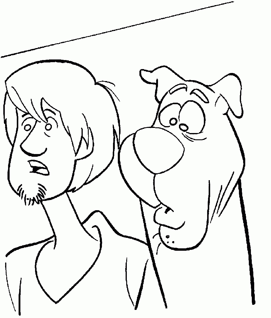 Scooby-Doo et Shaggy en pleine enquête dans un décor mystérieux