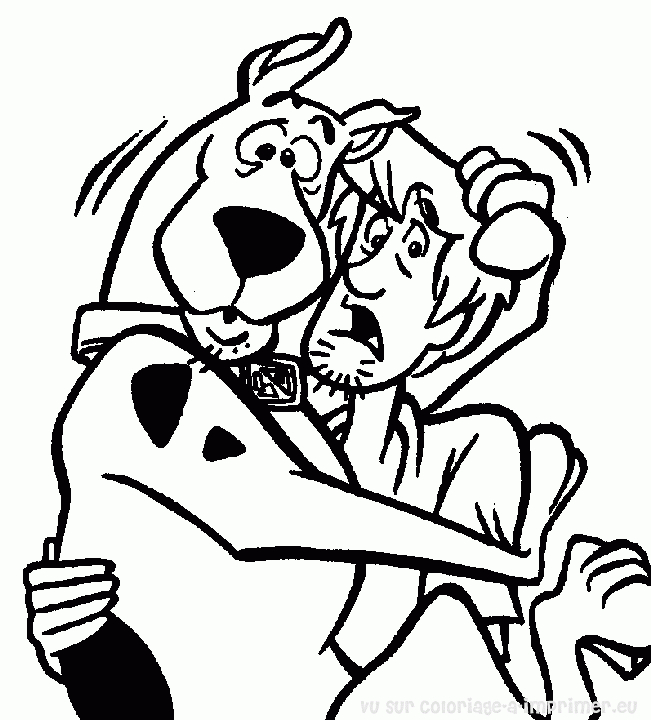 Scooby-Doo et Shaggy en pleine enquête dans un décor mystérieux
