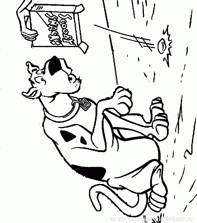 Scooby-Doo et Shaggy en pleine enquête dans un décor mystérieux
