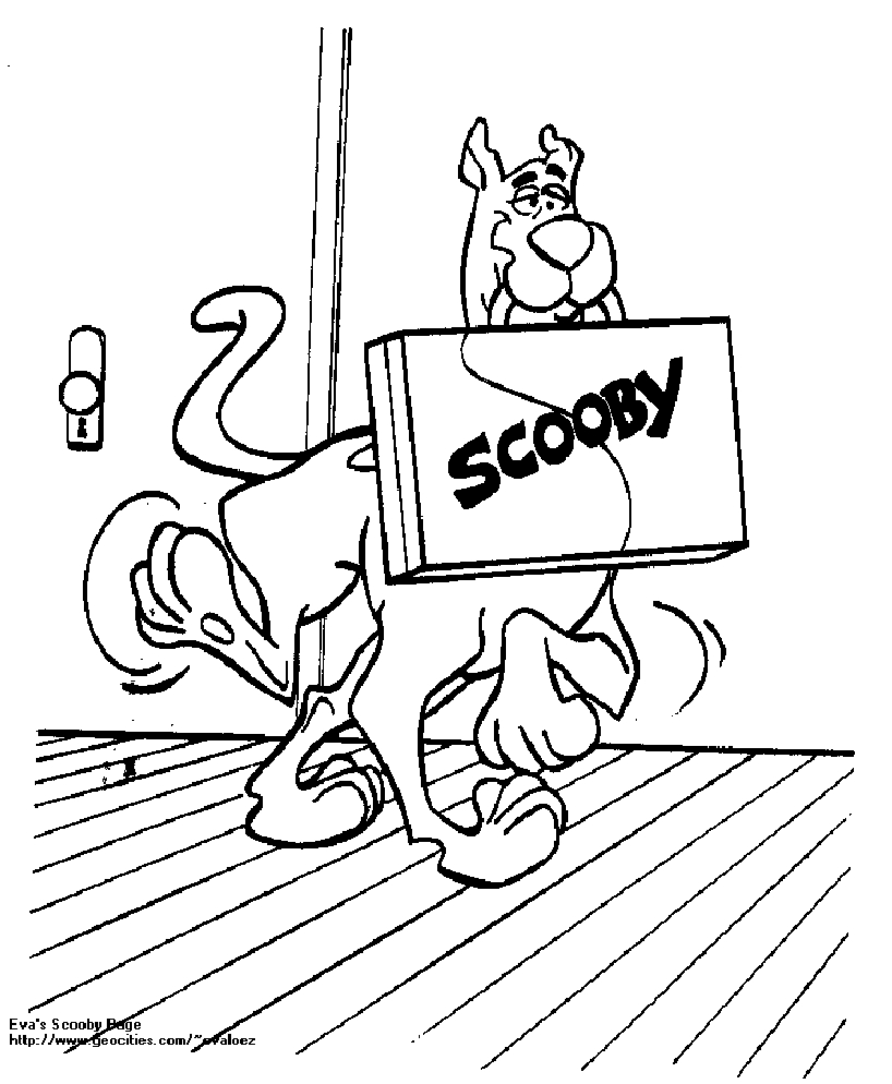 Scooby-Doo et Shaggy en pleine enquête dans un décor mystérieux