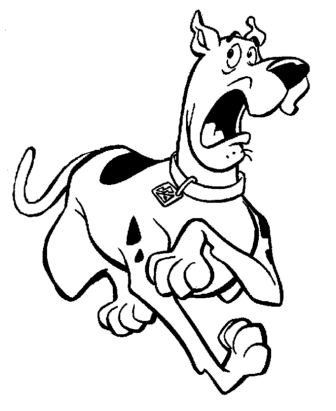Scooby-Doo et Shaggy en pleine aventure culinaire dans la cuisine