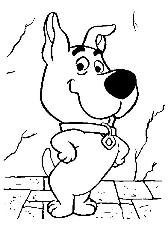 Scooby-Doo et Shaggy en pleine enquête sur un mystère