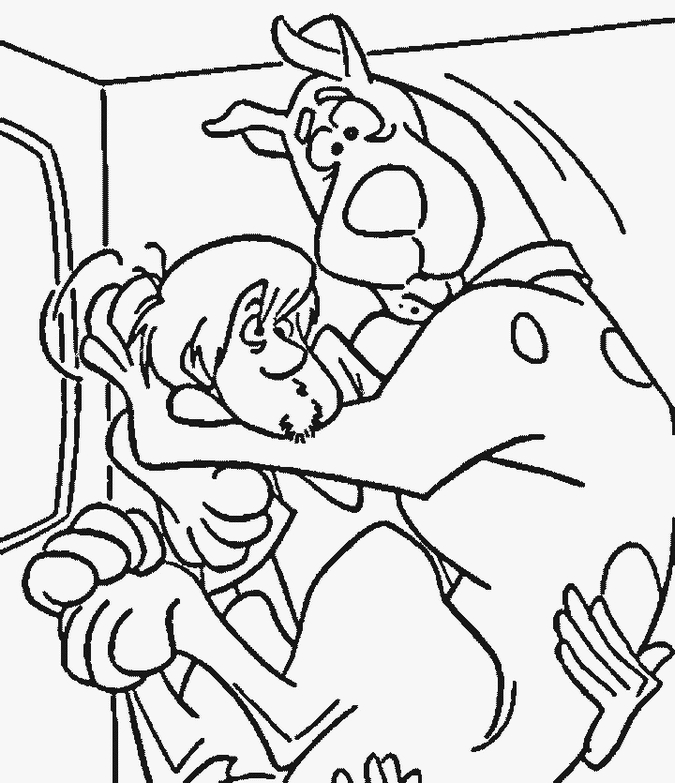Scooby-Doo et ses amis à la recherche de mystères dans un décor mystérieux