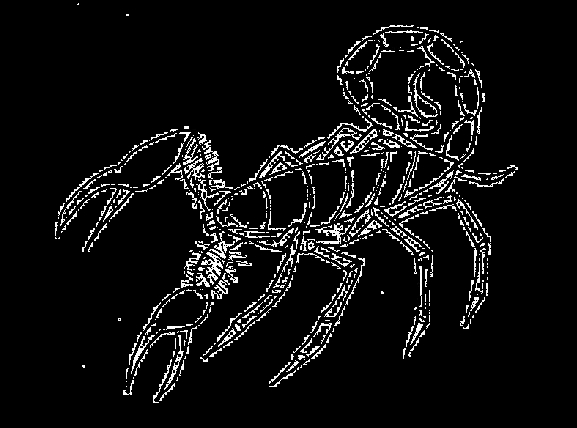 Coloriage Scorpion #10091 à imprimer Coloriage Scorpion #10091 à imprimer