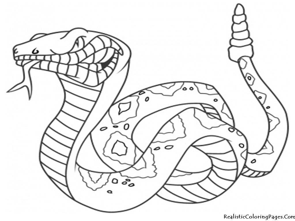Serpent sinueux se prélassant parmi les feuillages