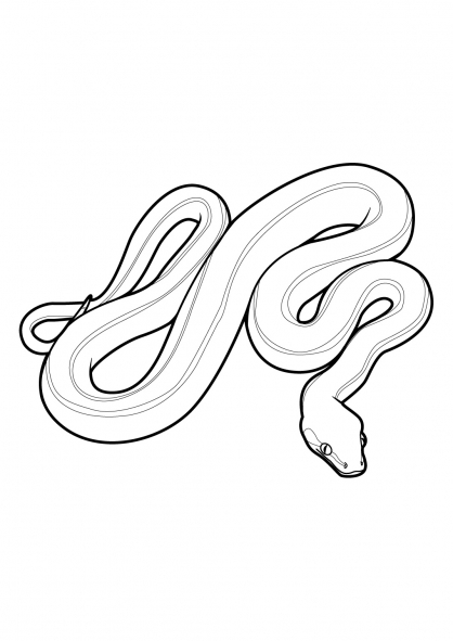 Coloriage d'un serpent sinueux sur fond naturel
