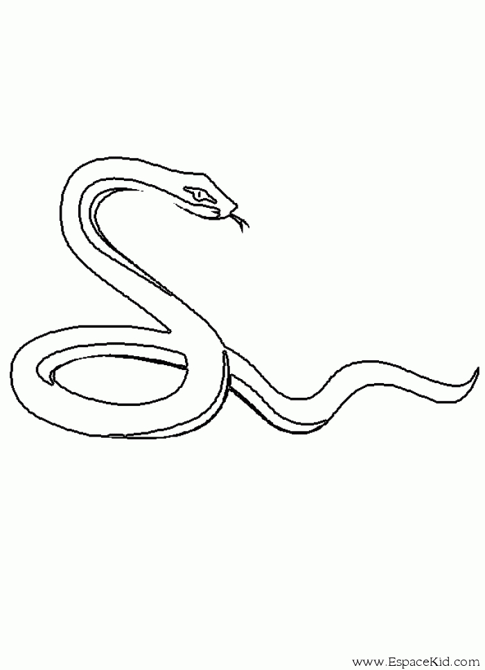 Un serpent sinueux se faufile parmi les feuilles luxuriantes