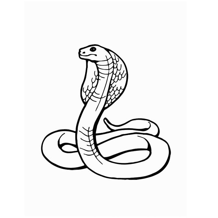 Coloriage d'un serpent enroulé sur une branche avec un fond naturel