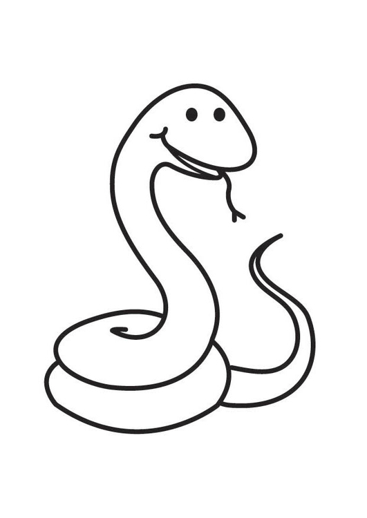 Un serpent sinueux se déplace parmi des motifs naturels