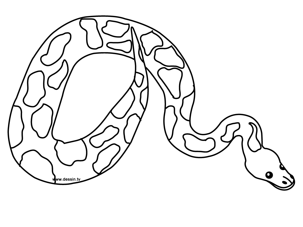 Coloriage d'un serpent enroulé sur une branche avec des motifs