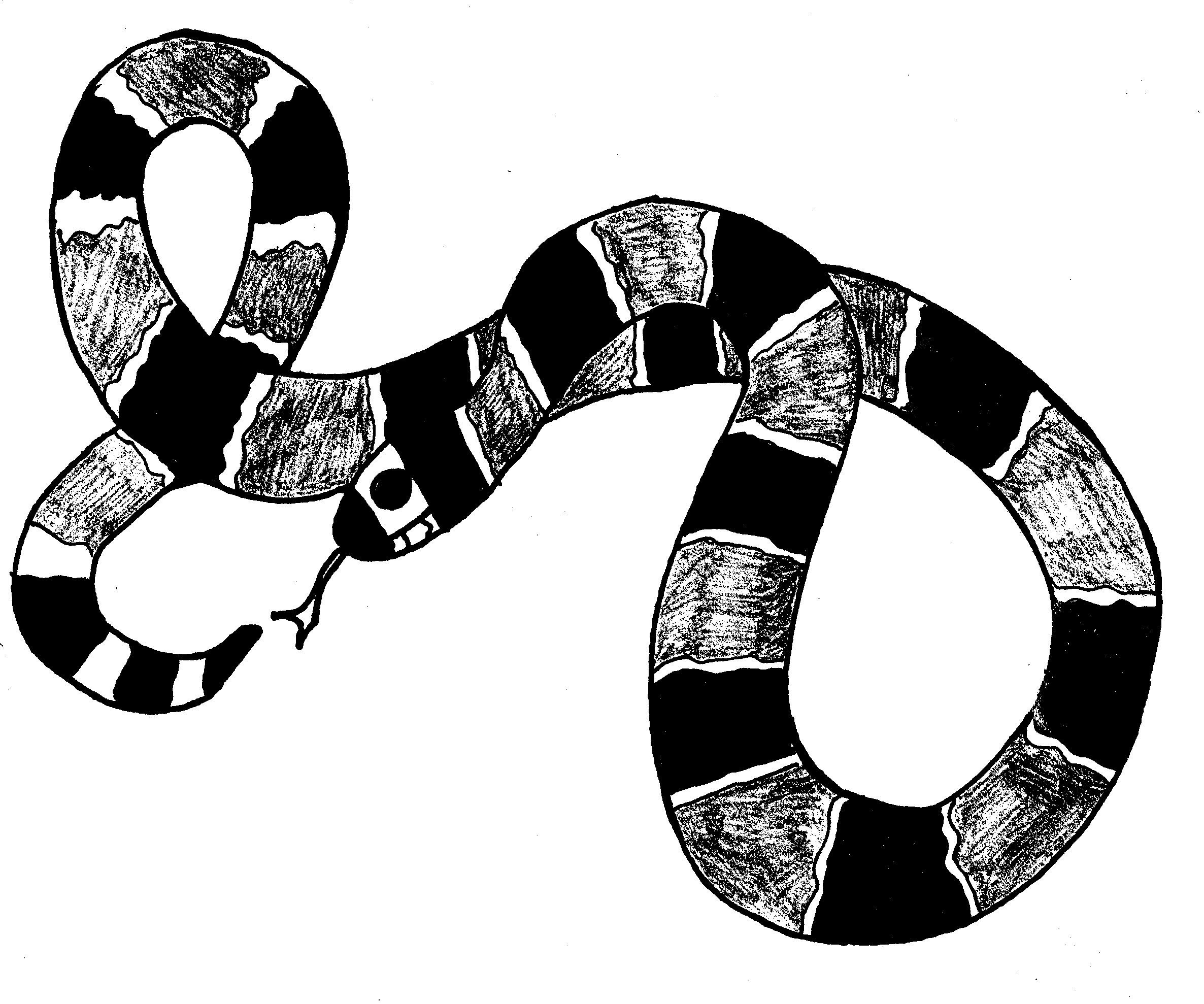 Un serpent enroulé sur un tronc d'arbre dans la jungle