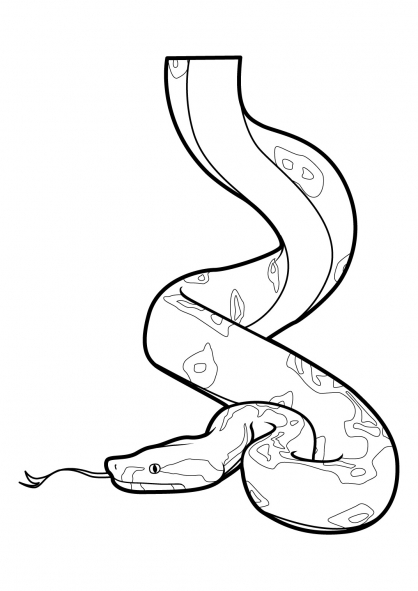 Coloriage d'un serpent ondulant dans la nature