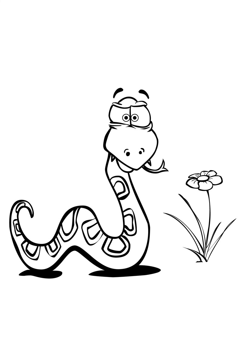Coloriage d'un serpent sinueux entouré de motifs naturels
