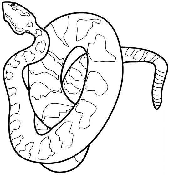Un serpent sinueux se faufile à travers la verdure
