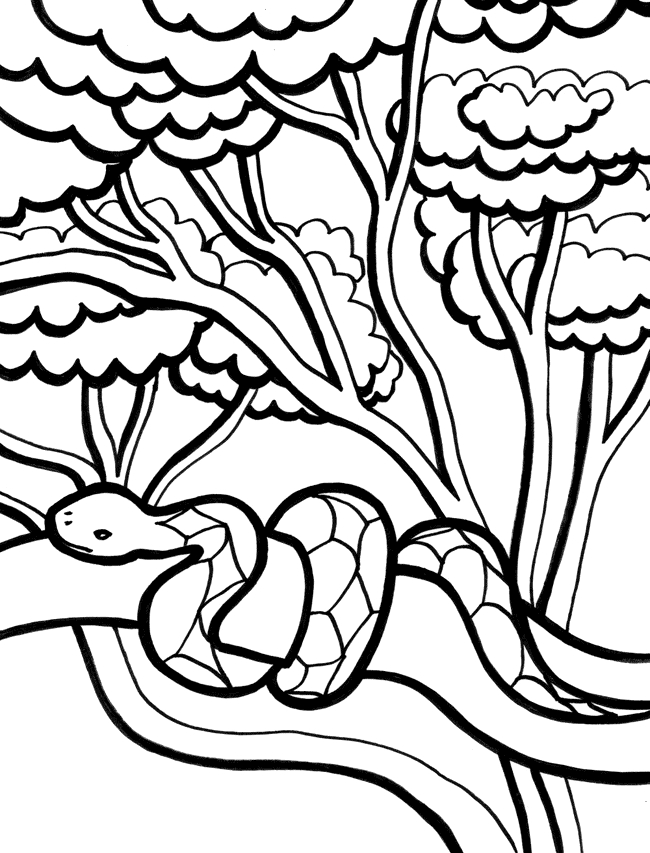 Coloriage d'un serpent enroulé sur une branche avec un fond de feuillage