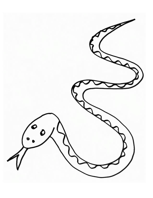 Coloriage d'un serpent ondulant dans un décor naturel