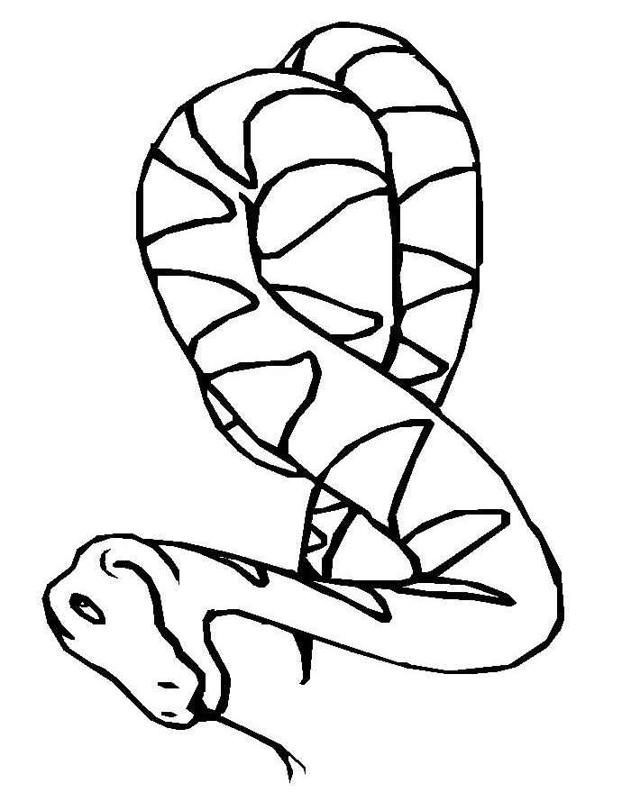 Coloriage d'un serpent ondulant dans un décor naturel