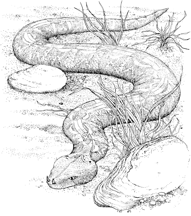 Un serpent ondulant au milieu d'une nature stylisée