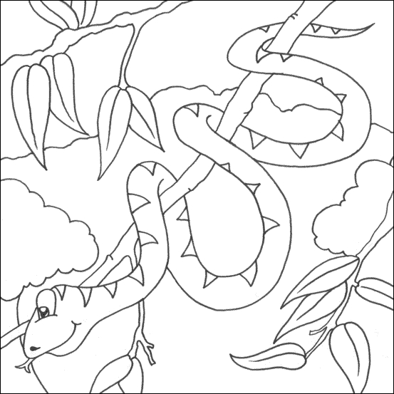 Coloriage d'un serpent enroulé sur une branche