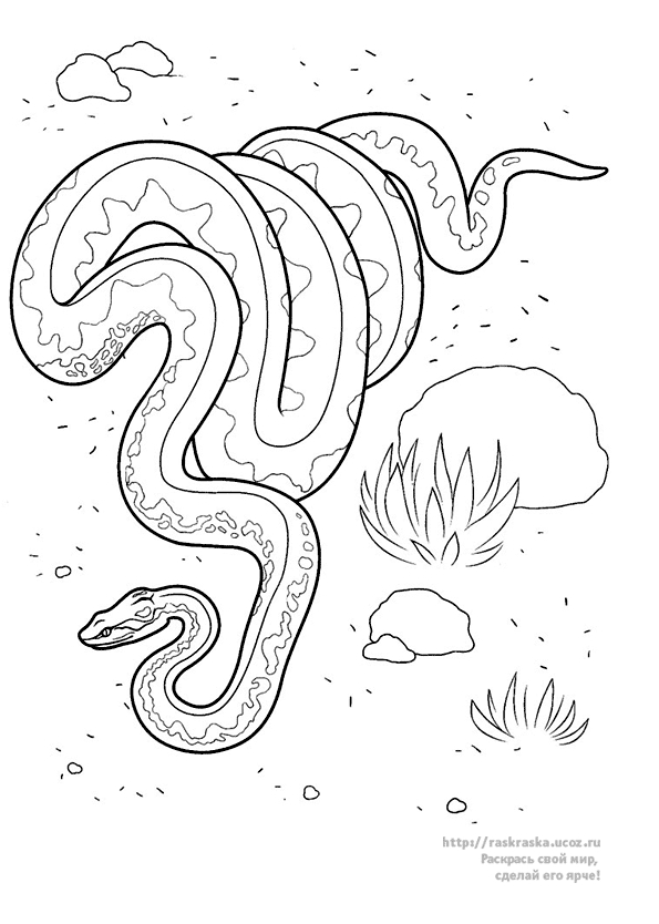 Un serpent enroulé sur un feuillage luxuriant