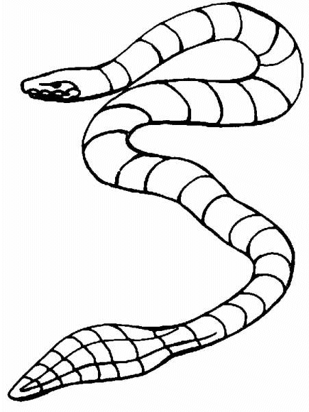 Serpent enroulé sur une branche au milieu d'une végétation luxuriante