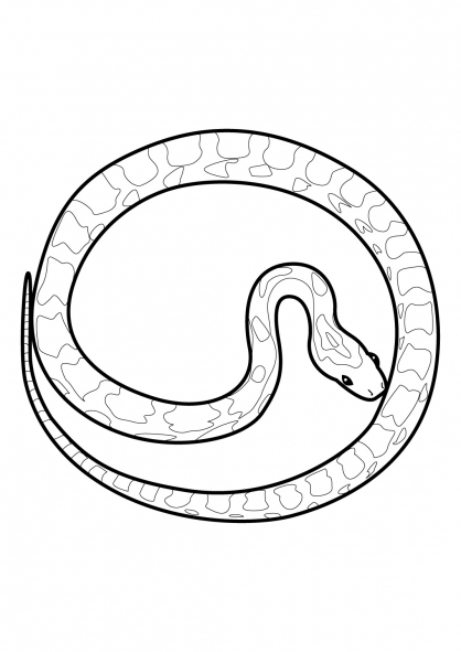 Un serpent sinueux évoluant au milieu de feuilles
