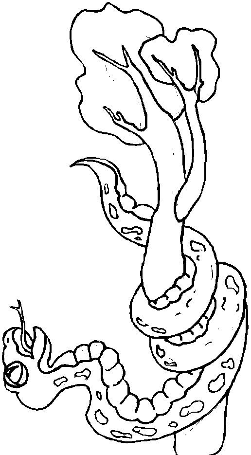 Coloriage d'un serpent sur un fond texturé