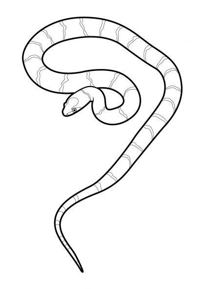 Coloriage d'un serpent sinueux sur un fond naturel