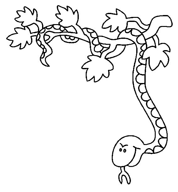 Coloriage d'un serpent enroulé sur une branche dans la forêt