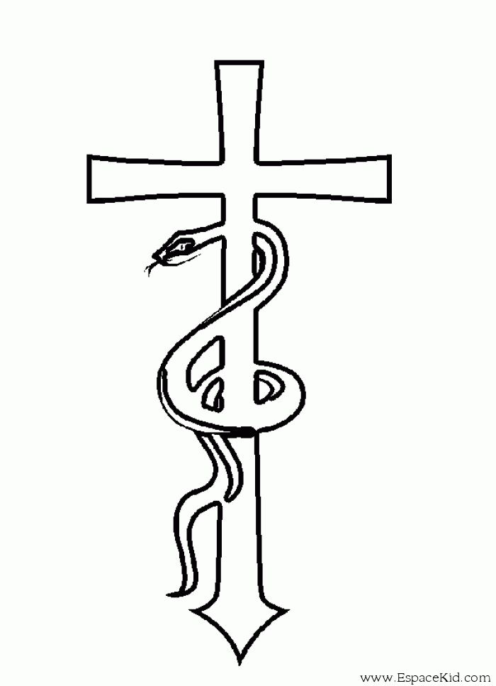 Coloriage d'un serpent enroulé sur une branche