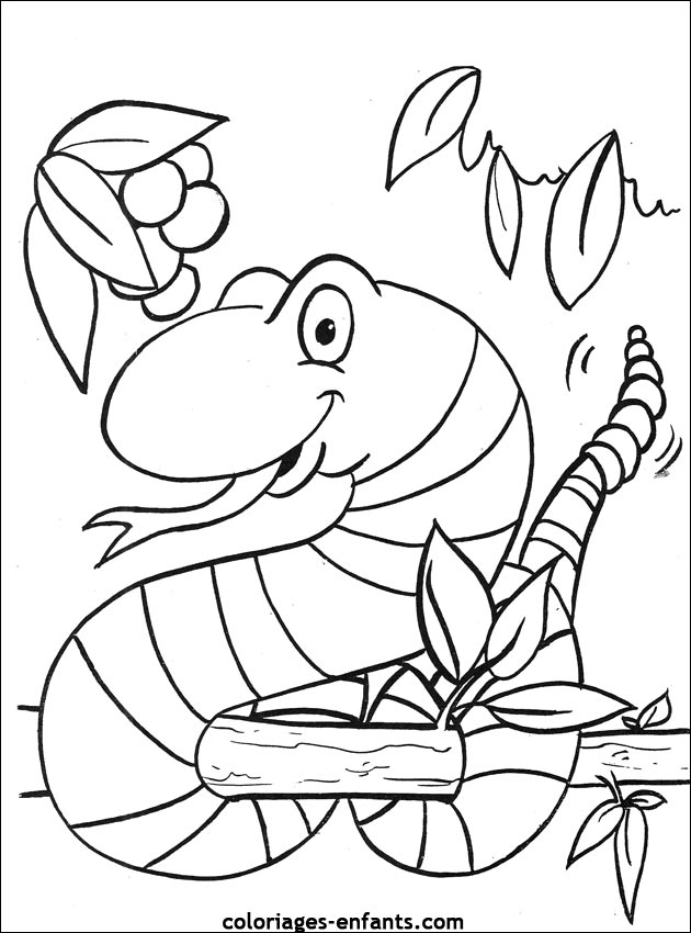 Coloriage d'un serpent sur un fond stylisé