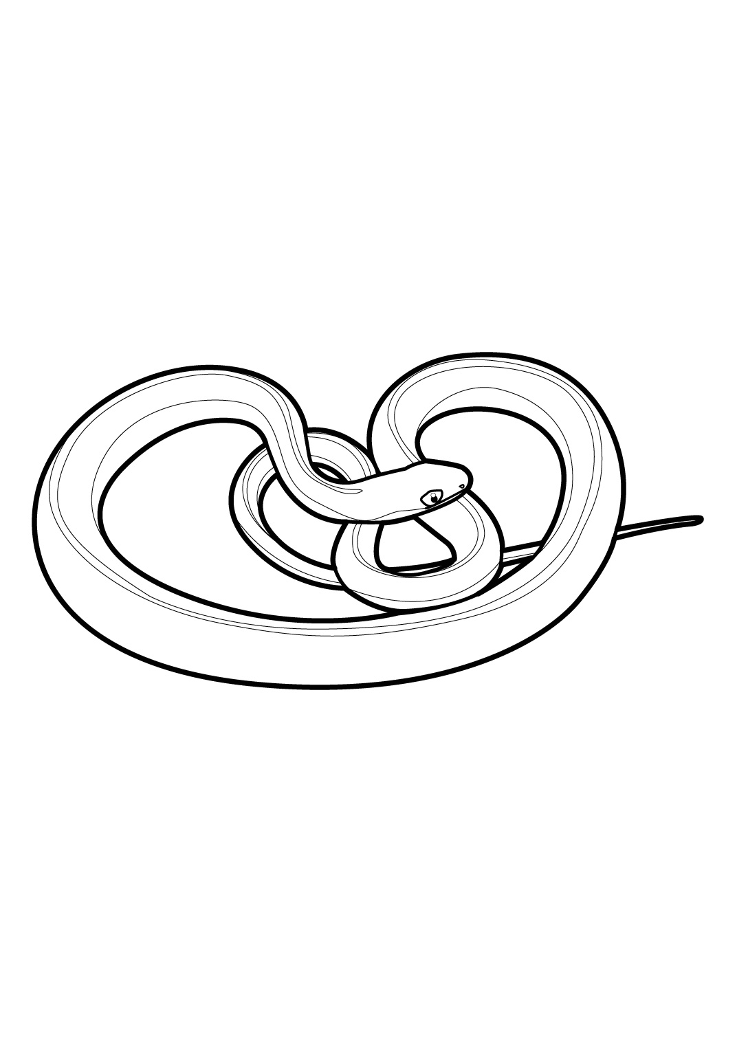 Coloriage d'un serpent enroulé sur un rocher avec des éléments naturels